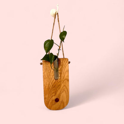 Handcrafted Wooden Propagating Wall Planter