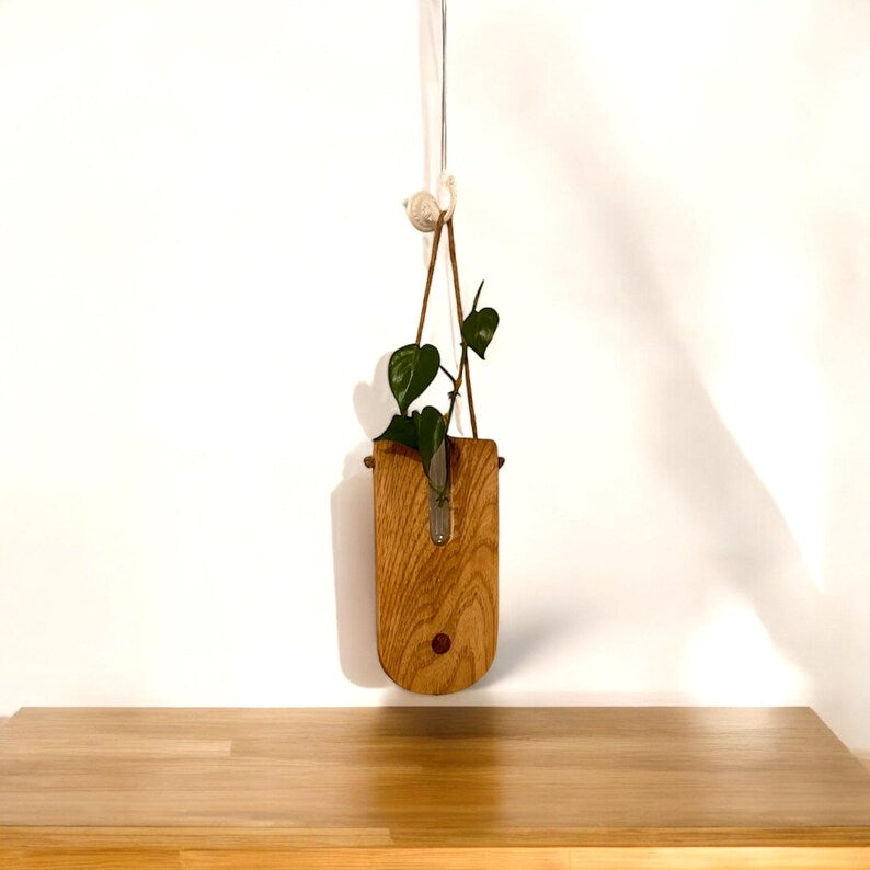 Handcrafted Wooden Propagating Wall Planter