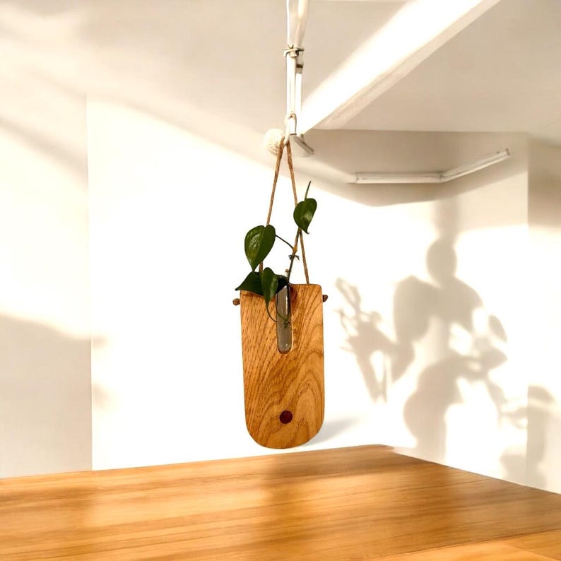 Handcrafted Wooden Propagating Wall Planter