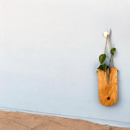 Handcrafted Wooden Propagating Wall Planter